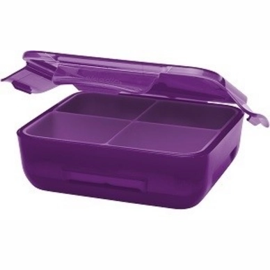 Lunchbox Aladdin Kinder doppelwandig Berry