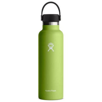 Thermosflasche Hydro Flask Standard Mouth Flex Cap Seagrass 621 ml