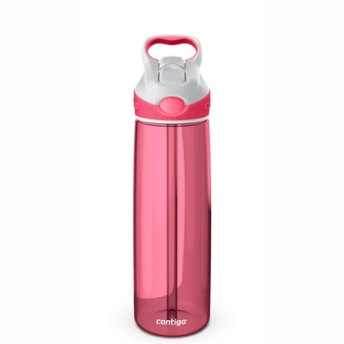 Wasserflasche Contigo Addison Rosa