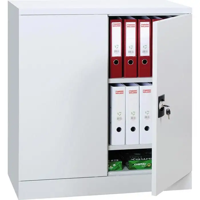 Aktenschrank MOOSE mit abschließbaren Flügeltüren | 2 Fachböden + Restfach | HxBxT 100x92x42cm | Zerlegte Anlieferung | Lichtgrau