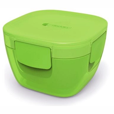 Lunchbox Aladdin Crave doppelwandig 0,85L Fern
