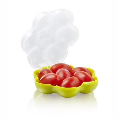 Tomatenbehälter Tomorrow's Kitchen